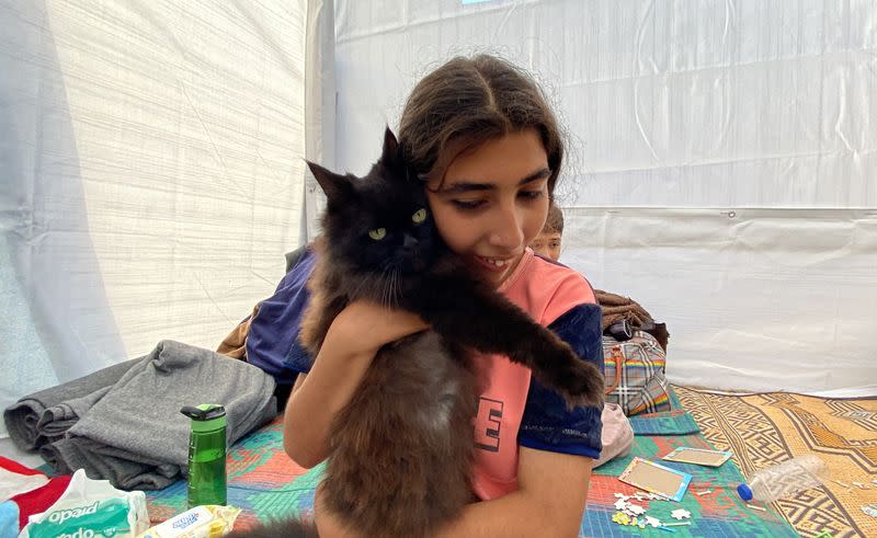 Three cats bring scintilla of joy to displaced children in Gaza