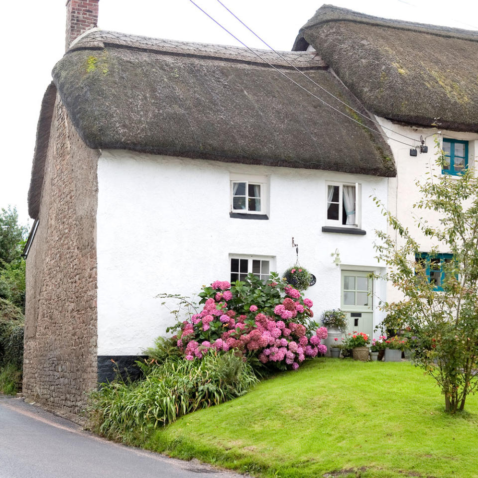 Make the most of front gardens