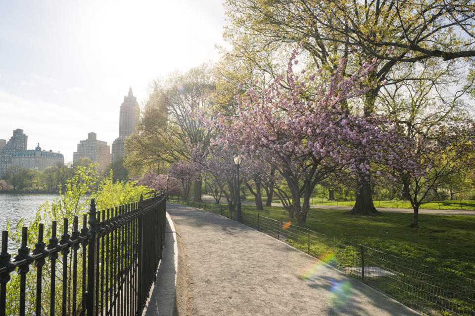 1. Central Park in New York