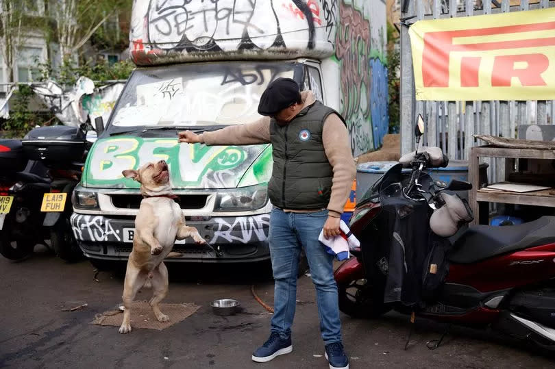 Tarik playing with his dog which is jumping up towards his arm