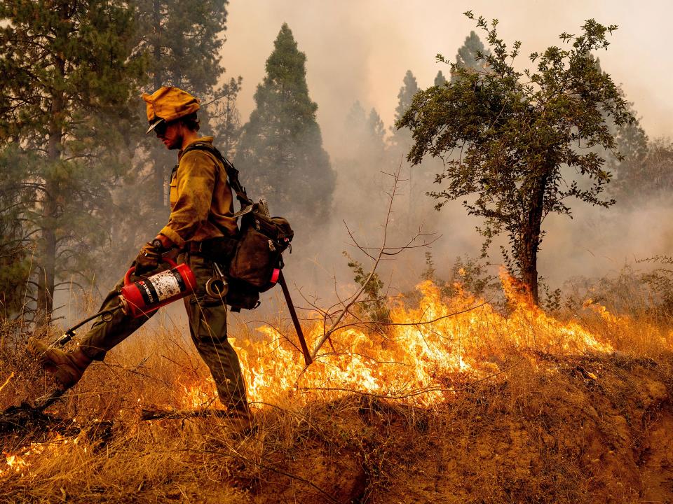 Frefighter Davis Sommer lights a backfire to burn off vegetation while battling the Mosquito Fire in the Volcanoville community of El Dorado County, Calif., on Friday, Sept. 9, 2022.