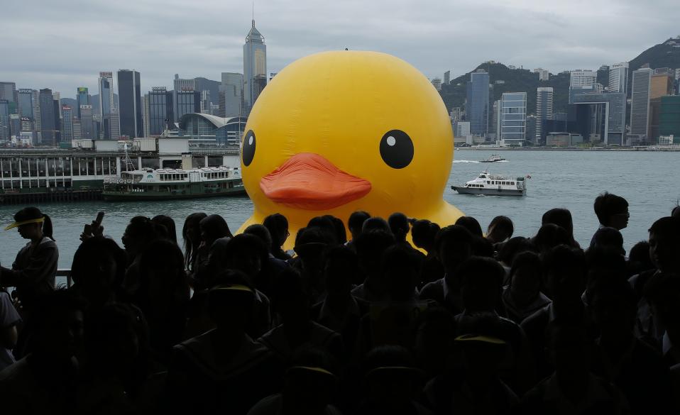 Hong Kong Duck