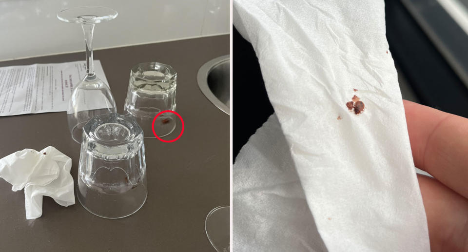 Left: A cockroach under a glass, and right a crushed beg bug that the guest said was found in the bedroom.