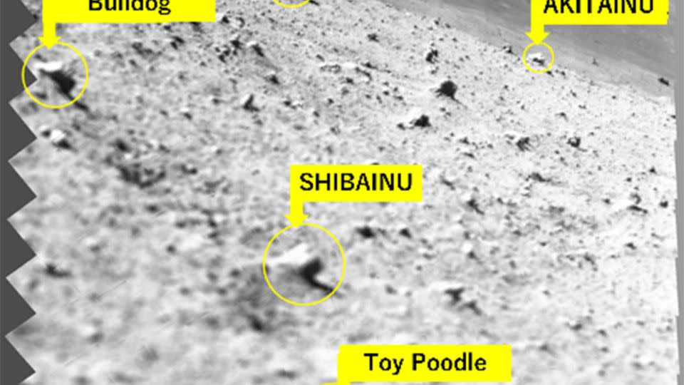 A previous mosaic of images taken by the lander's camera showcase rocks on the lunar surface that have been nicknamed based on their estimated sizes. - JAXA/Ritsumeikan University, The University Of Aizu