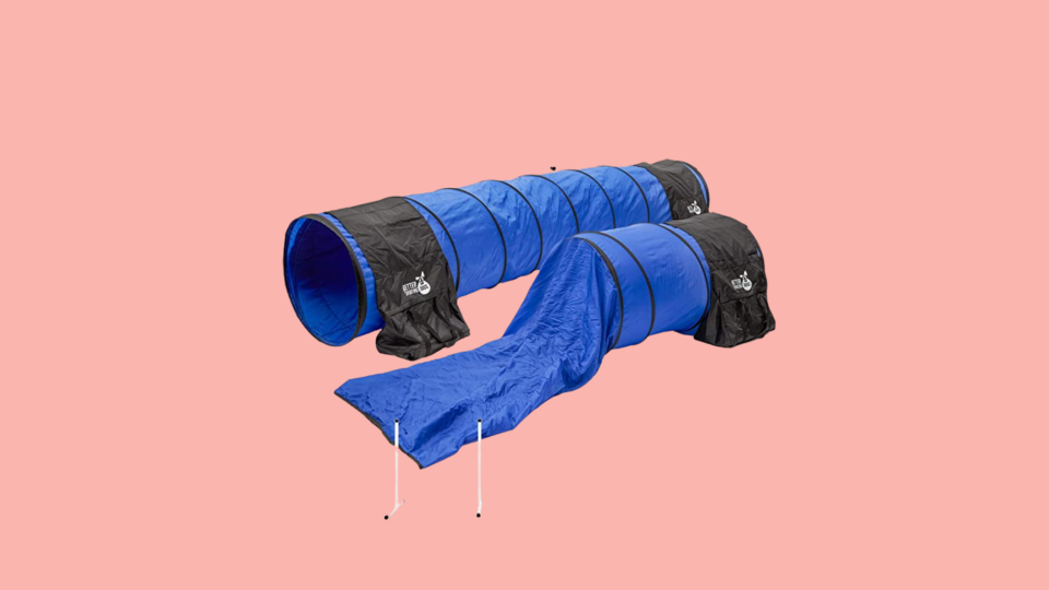 Best holiday gifts for dogs: Agility Equipment Set.