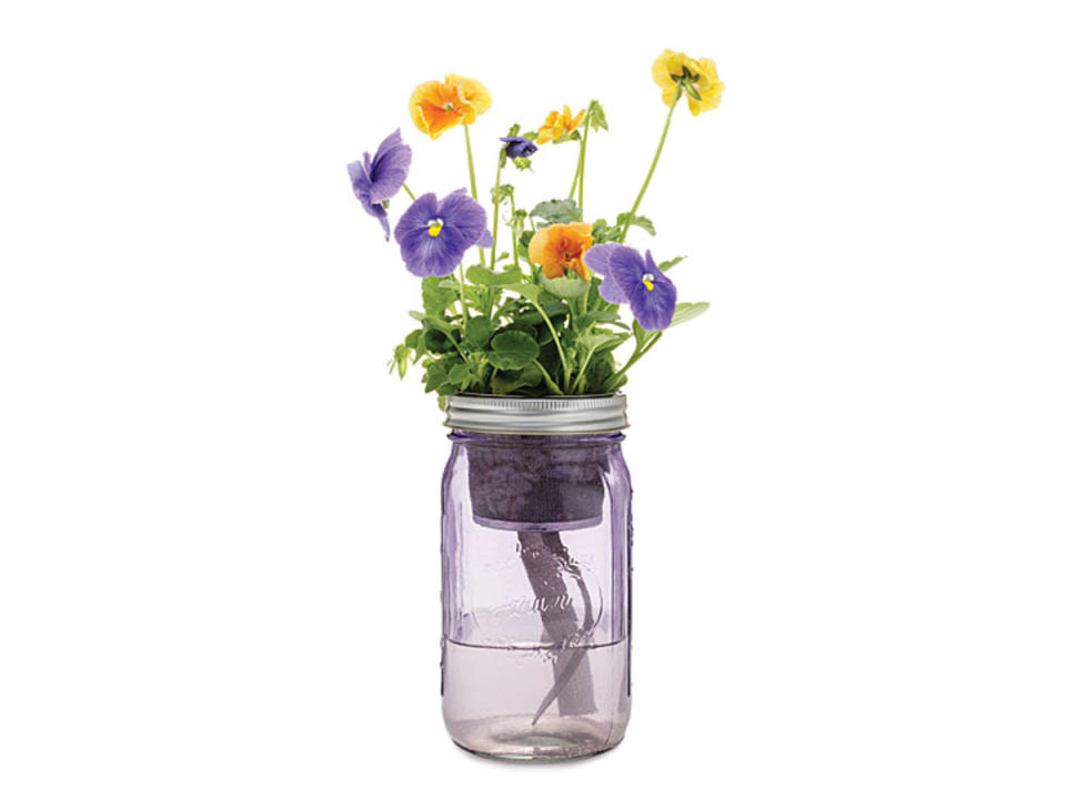 Mason Jar Indoor Flower Garden