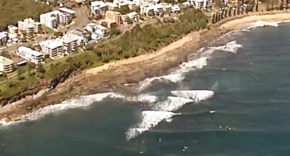 The man was flung into the water when the shark hit and then bit his kayak. Image: 7 News