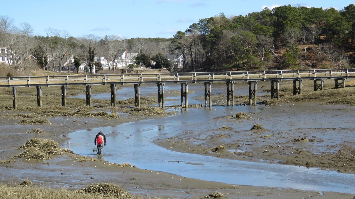 A view of Duck Creek in Wellfleet in 2022