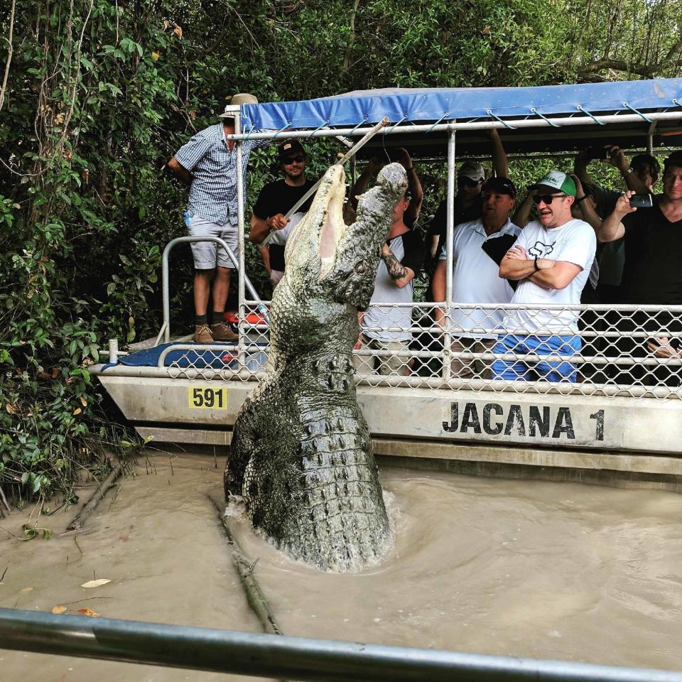 <p>A 20-foot crocodile jumps out of the water in the Northern Territory’s Adelaide River in Australia. (Photo: Rhys Crowley/Caters News) </p>