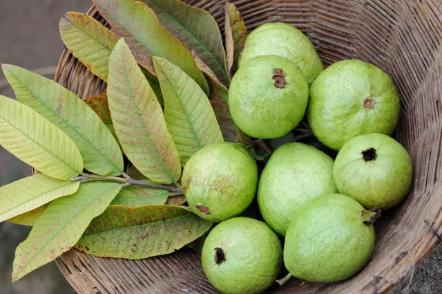 Té de hojas de guayaba para desinflamar en un dos por tres