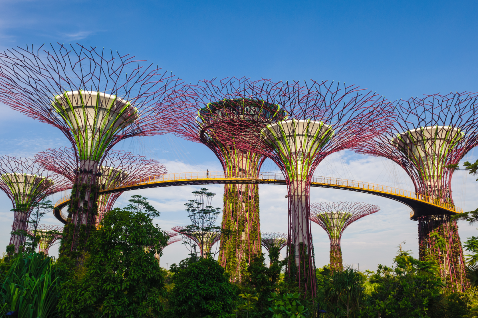 Gardens by the Bay, Singapore (TILT PTE LTD)