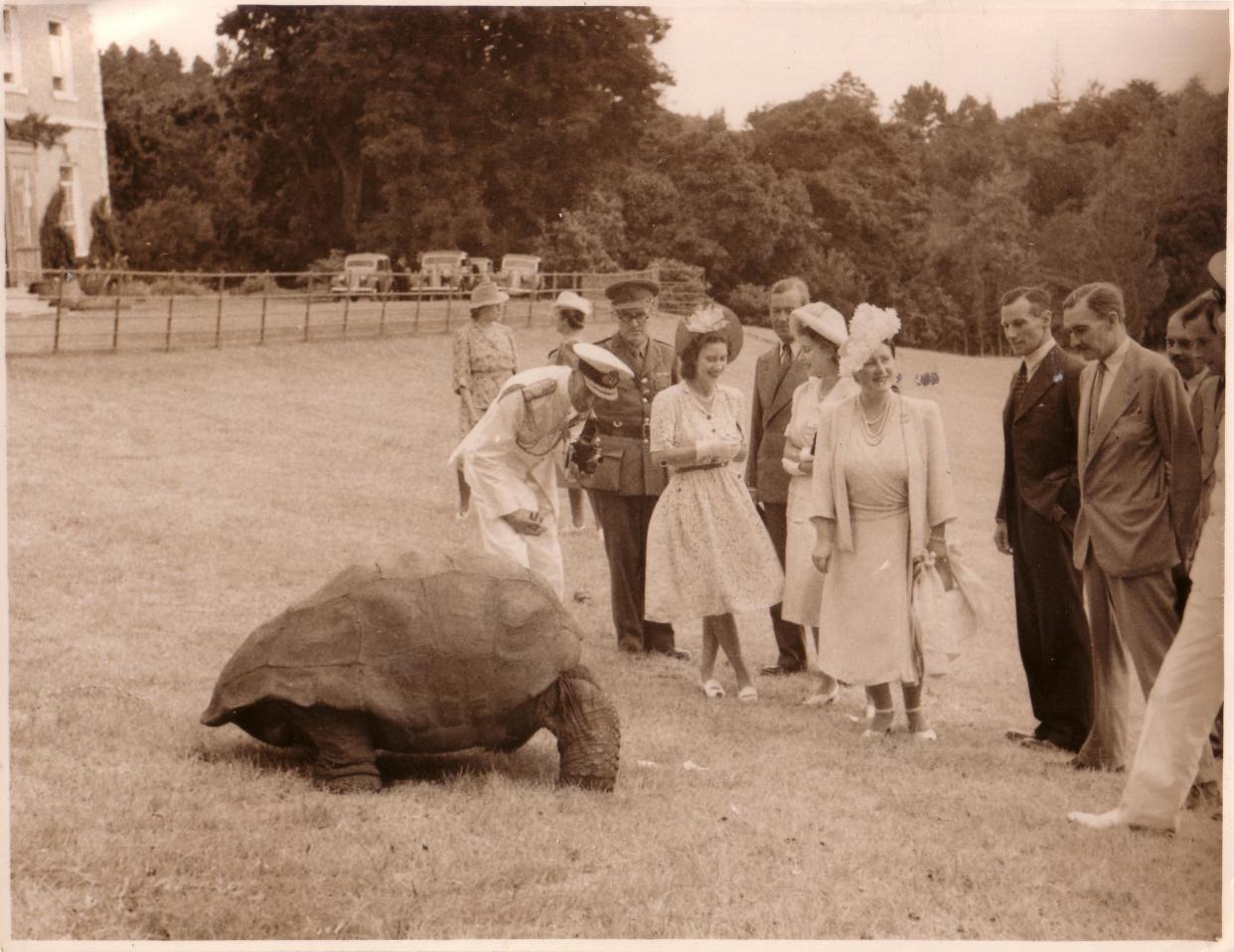 Princess Elizabeth, Princess Margaret and George VI and Queen Elizabeth with the tortoise in 1947