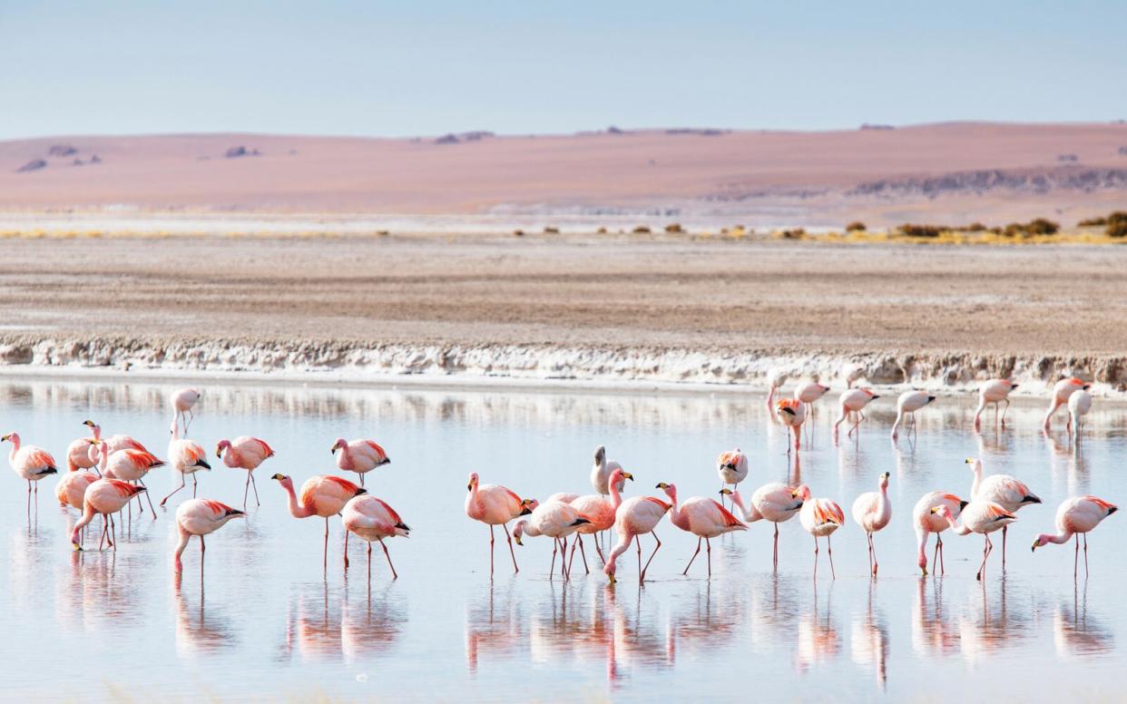 Atacama Desert