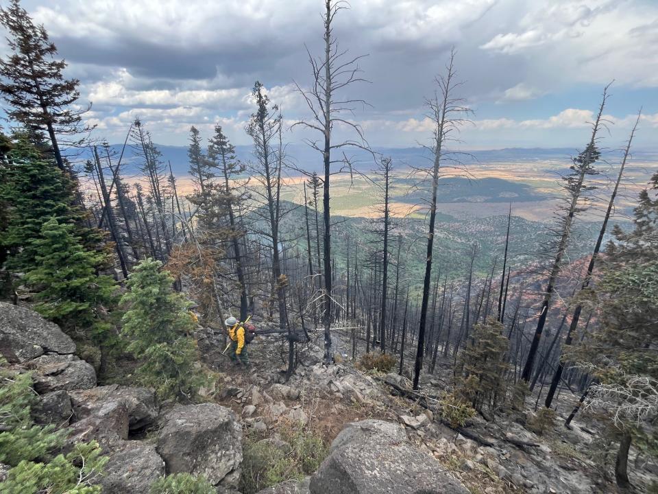 Firefighters battling the Graff Point Fire about five miles south of Cedar City in Iron County, Utah survey the damage to forest lands on Thursday, July 18, 2024.