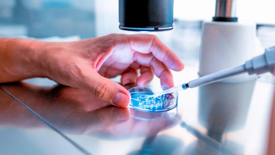 PHOTO: In the fertility laboratory the Doctor preparing embryo cultivation plates in an undated stock photo. (STOCK PHOTO/Getty Images)