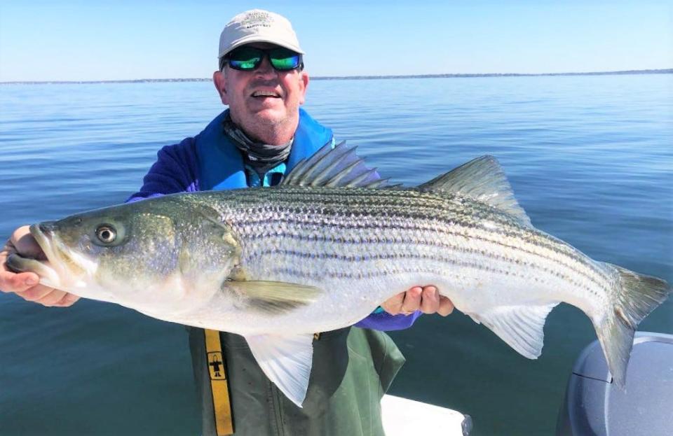 Andy DeRiso of Barrington with the 38-inch, 23-pound striped bass he caught this week in the upper portion of the East Bay.