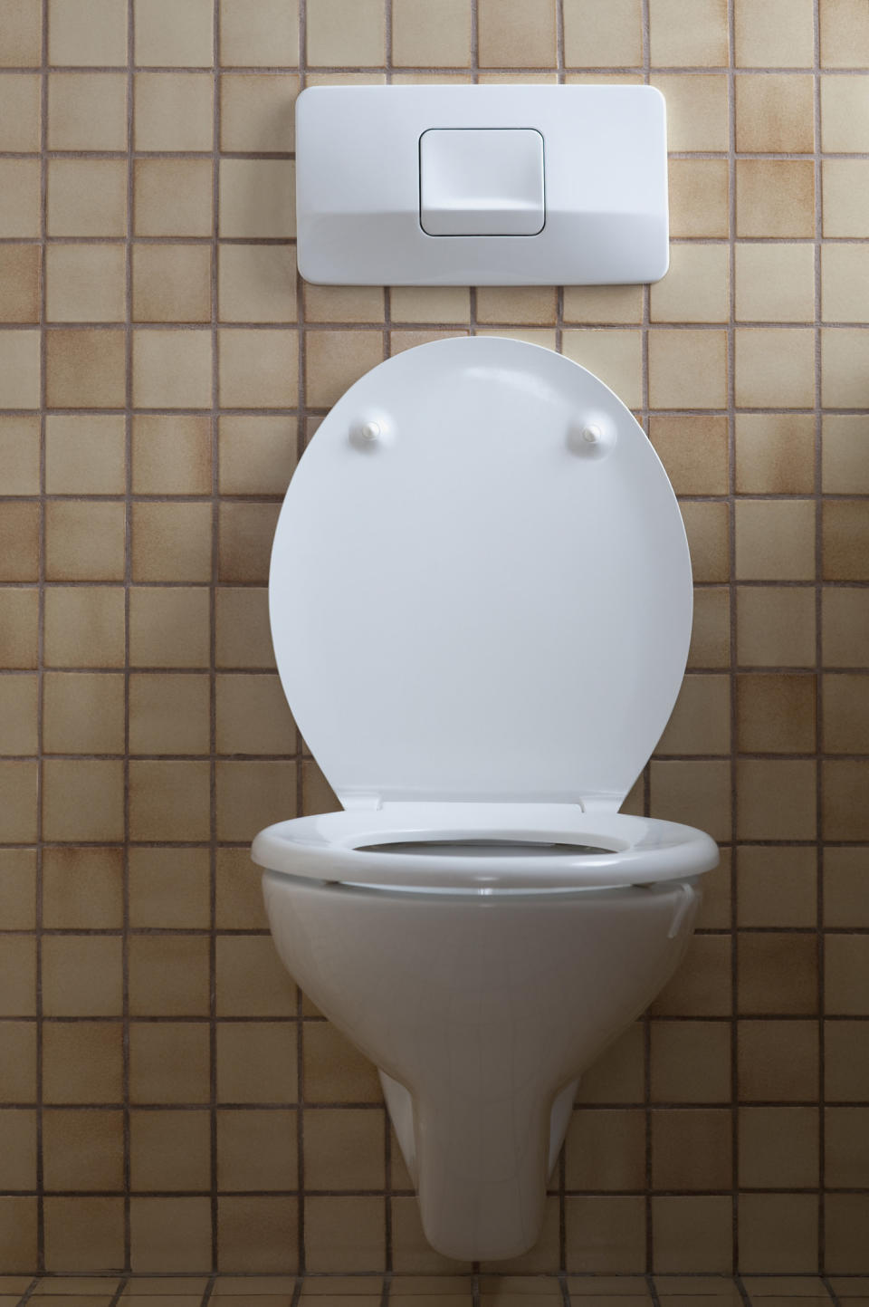 A toilet