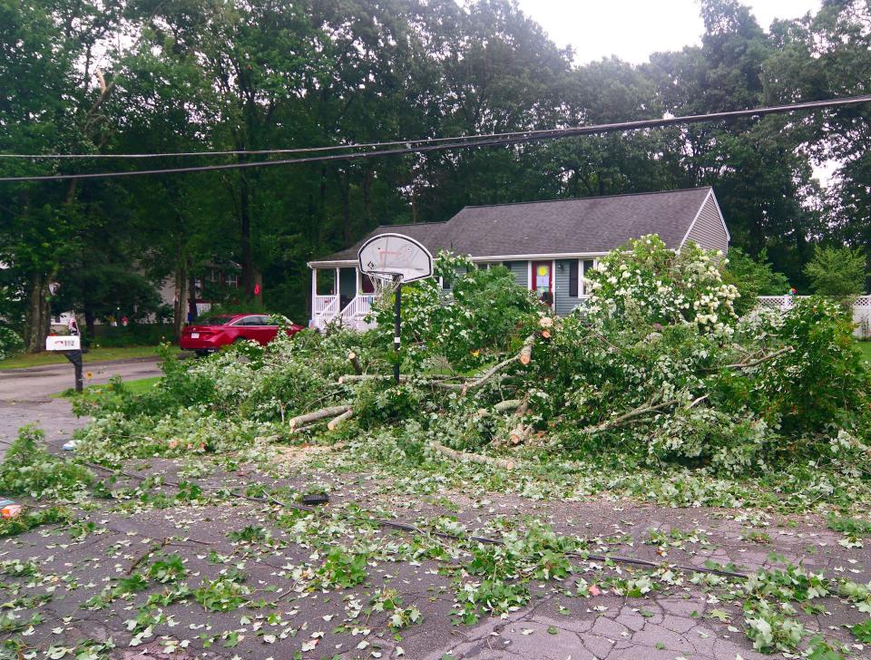 A section of Corbett Street in Stoughton where a severe storm came through on Friday, Aug. 18, 2023. The trees and branches have been cut and cleared aside by crews who said the section of street was entirely covered when they arrived.