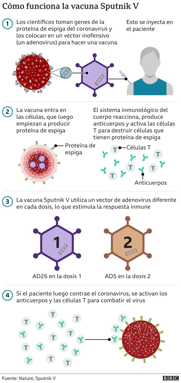 Así funciona la Sputnik V