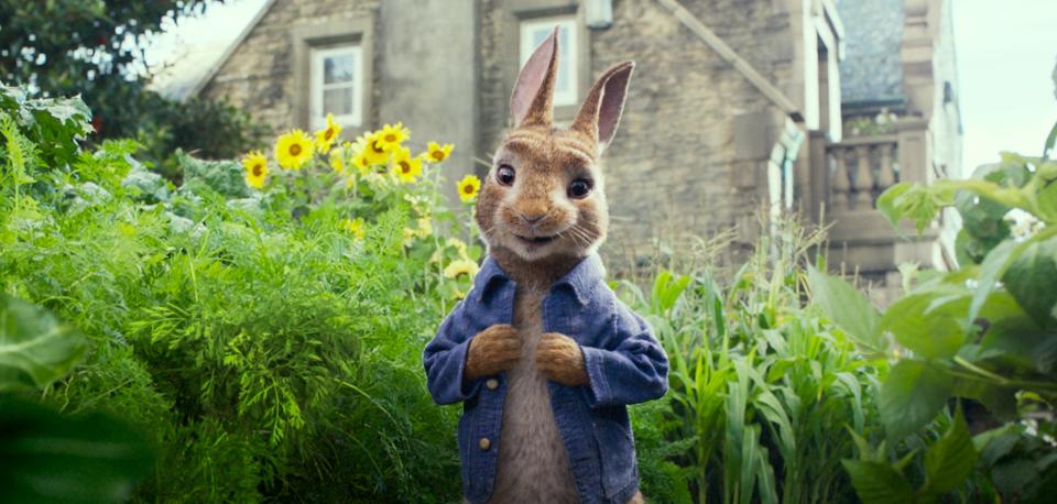 <i>Peter Rabbit</i> (Photo: Sony Pictures)