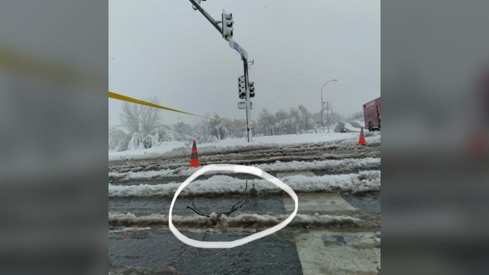 West Metro Fire Rescue responded to a powerline that fell in the middle of the road near 26th Avenue and Wadsworth Boulevard on March 14, 2024.