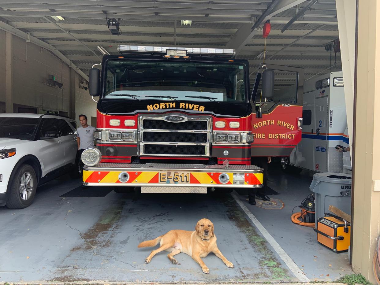 Drew is a 4-year-old Labrador retriever who offers support to fire and rescue workers at Station I of the North River Fire District in Palmetto.