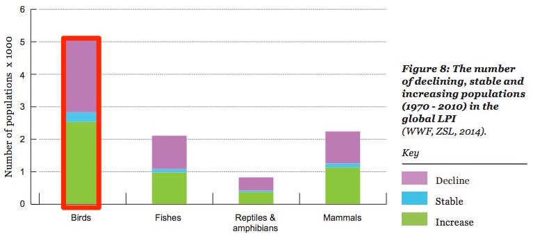 declining species