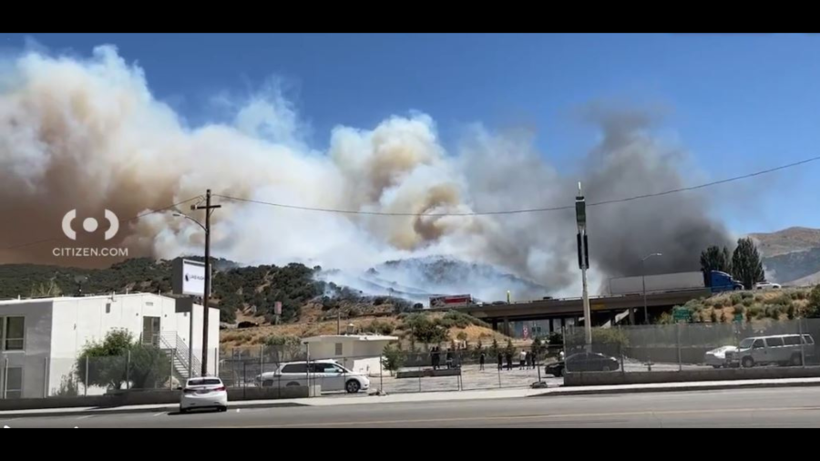 The Post Fire in Gorman is seen burning near the 5 Freeway and forcing evacuations on June 15, 2024. (Citizen)