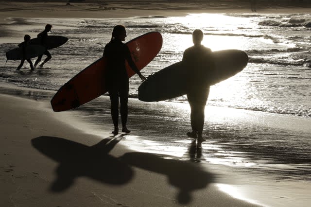 Australia Fatal Shark Attack