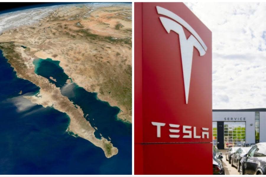 Baja California, sin beneficios por inversión millonaria de Tesla en Nuevo León