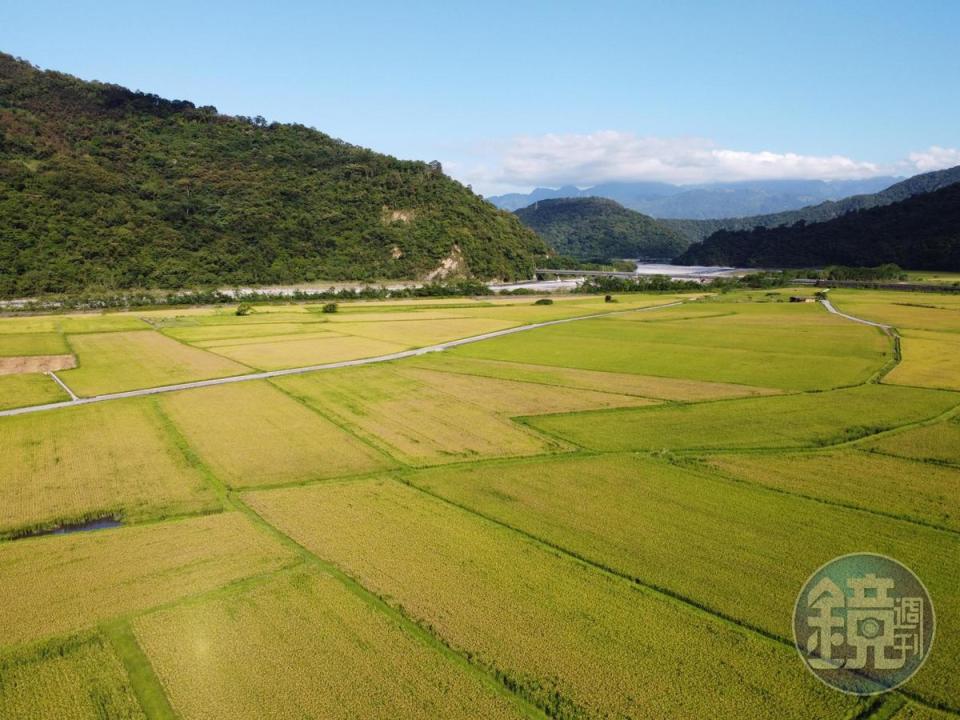 空拍再來一張，一片綠意真的很美。