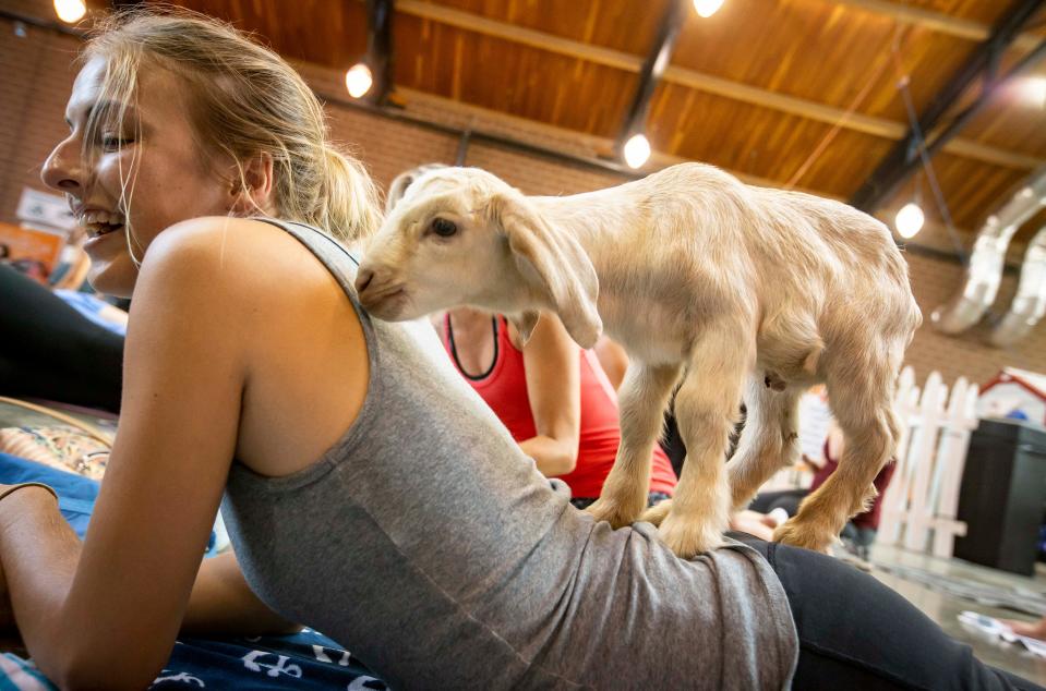 Cara Maak practices yoga with a newborn goat on her back in the animal learning center at the Iowa State Fair on Aug. 14, 2018, in Des Moines.