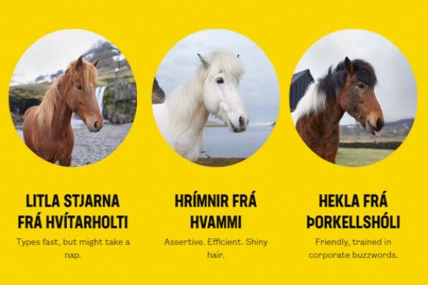 ▲「OutHorse Your E-mail」網站有三匹馬兒可以任意選擇。（圖／翻攝自《visiticeland.com》）