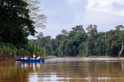 The Kinabatangan River - Credit: getty