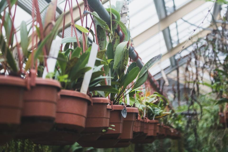 <p> A full and thriving greenhouse is what it&apos;s all about. Keep yours busy with genius DIY greenhouse, like using sidewalls and ceiling space again from which to grow and display your vertical garden. </p>