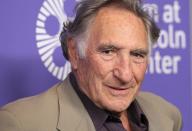 Bereits in 70er-Jahren war er dank seiner Hauptrolle in der Comedy-Serie "Taxi" ein Star: Judd Hirsch spielte zwar auch immer wieder ernstere Rollen in Kinofilmen ("Eine ganz normale Familie", "A Beautiful Mind"), begeistert aber bis heute vor allem als Seriendarsteller. In der Krimiserie "Numbers" spielte er eine Hauptrolle, zuletzt war in der Amazon-Serie "Hunters" als Dr. Simon Wiesenthal zu sehen. (Bild: Jim Spellman/WireImage/Getty Images)