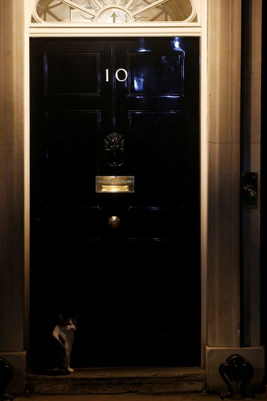 El gato Larry se sienta frente al 10 de Downing Street en Londres, Gran Bretaña, después de que el primer ministro británico, Boris Johnson, fue admitido en el hospital tras sufrir síntomas persistentes de coronavirus (COVID-19)