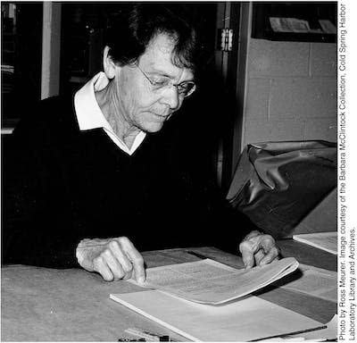 Barbara McClintock trabajando en su despacho en 1971. <a href="https://www.pnas.org/doi/10.1073/pnas.1219372109" rel="nofollow noopener" target="_blank" data-ylk="slk:PNAS;elm:context_link;itc:0;sec:content-canvas" class="link ">PNAS</a>