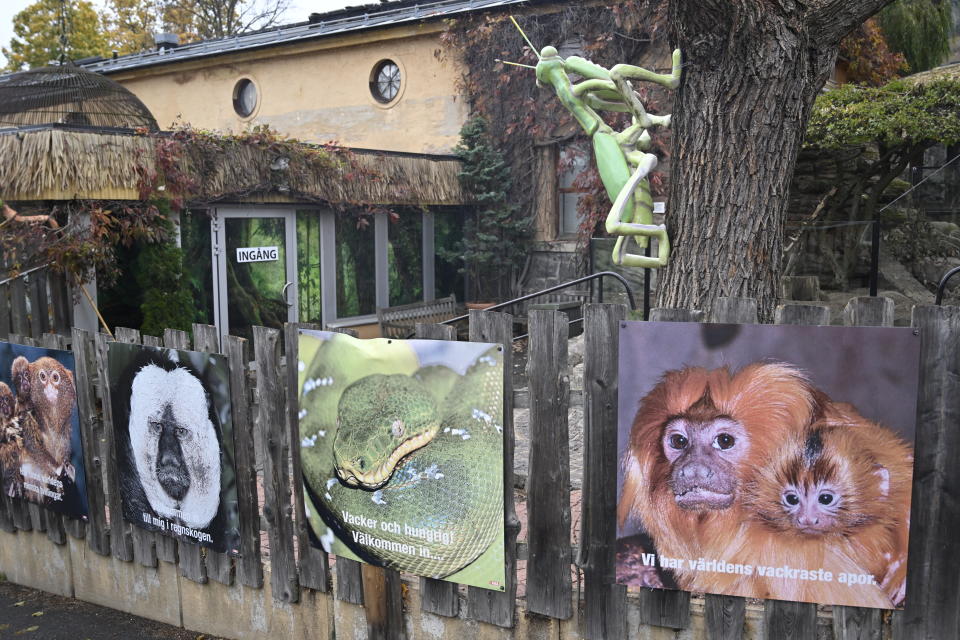 The Skansen Aquarium, part of the zoo on Djurgarden island, where a deadly snake escaped on Saturday via a light fixture in the ceiling of its glass enclosure, in Stockholm, Sweden, Monday Oct. 24, 2022. A venomous king cobra which escaped from its home in a Swedish zoo six days ago has been located inside the building where its terrarium is located but has not yet been recaptured, the park said Friday, Oct. 28, 2022. (Henrik Montgomery/TT News Agency via AP)