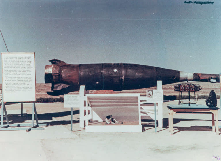 Dog Pestraya (Motley) by a nose section of the R-5A rocket, which carried the animal into space