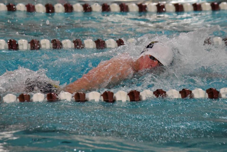 Hartland junior Issac Davis made all-state in two events, placing seventh in the 50-yard freestyle and eighth in the 100 freestyle at the Division 1 finals.