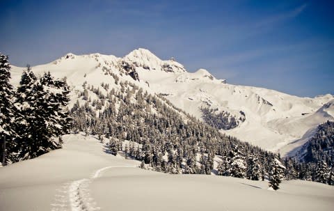 mount garibaldi - Credit: ¬© 2009 Christopher Kimmel/Christopher Kimmel