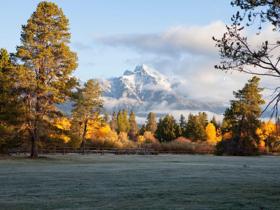 off-season in jackson hole, mountains with changing leaves in foreground
