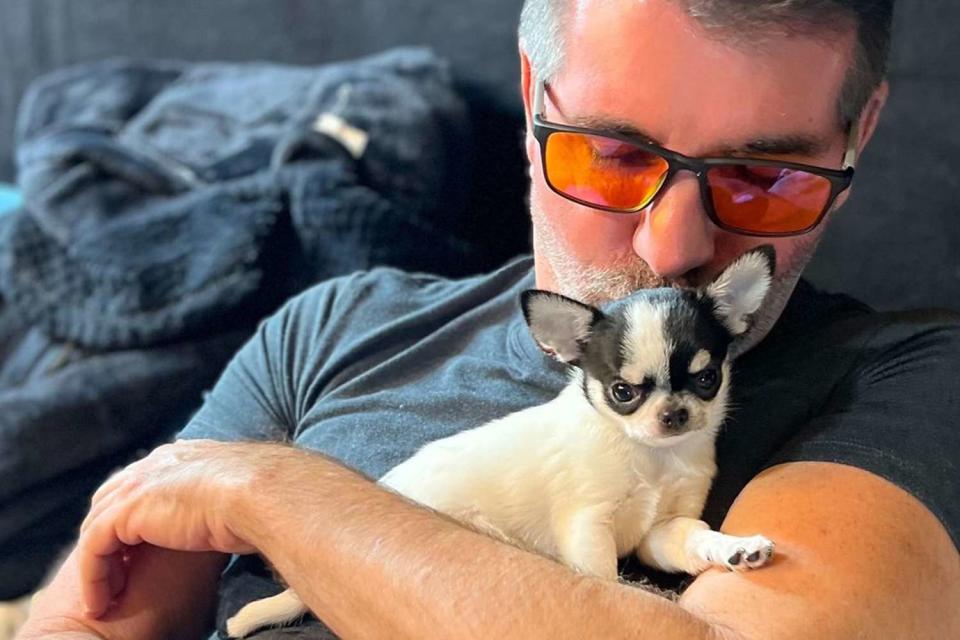 <p>Simon Cowell/Instagram</p> Simon Cowell cuddles an adorable black and white puppy