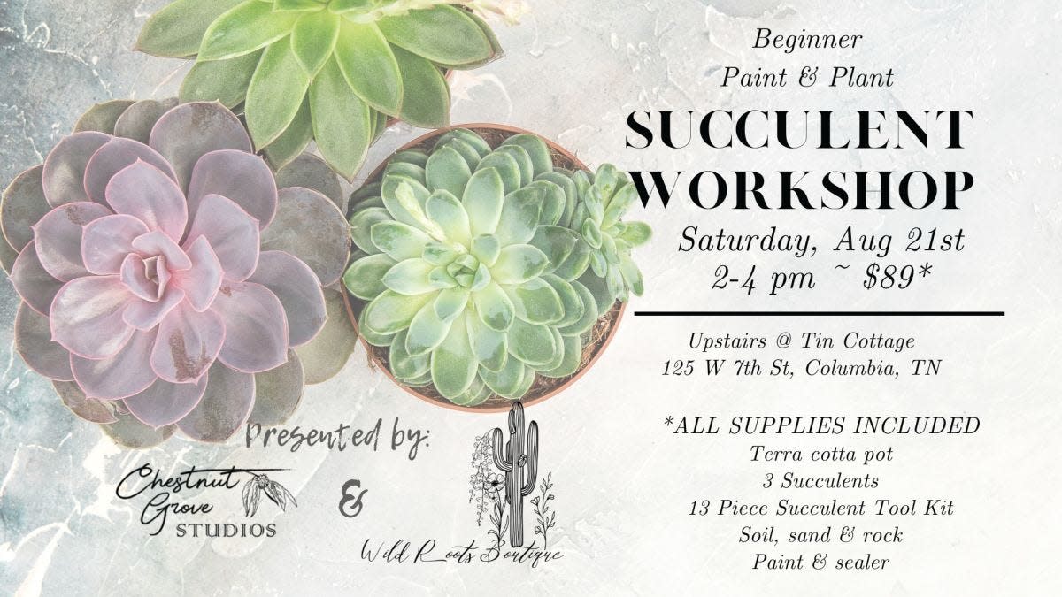 Tin Cottage, 1225 W. 7th St. just off the downtown Columbia square, will host a succulent workshop this weekend, where guests will create their own planting arrangements.