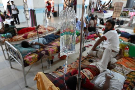 Patients suffering from dengue fever are treated inside the Mugdha General Hospital in Dhaka, Bangladesh, on Sept. 17, 2023. <span class="copyright">Mamunur Rashid—NurPhoto/Getty Images</span>