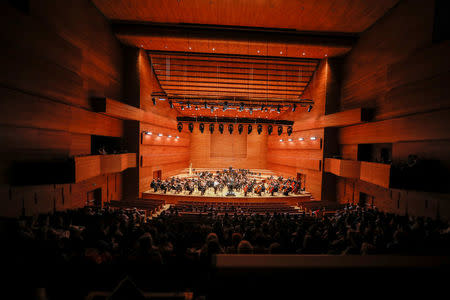 Members of an orchestra perform at Macedonian Philharmonics hall in central Skopje, Macedonia, June 1, 2018. REUTERS/Marko Djurica