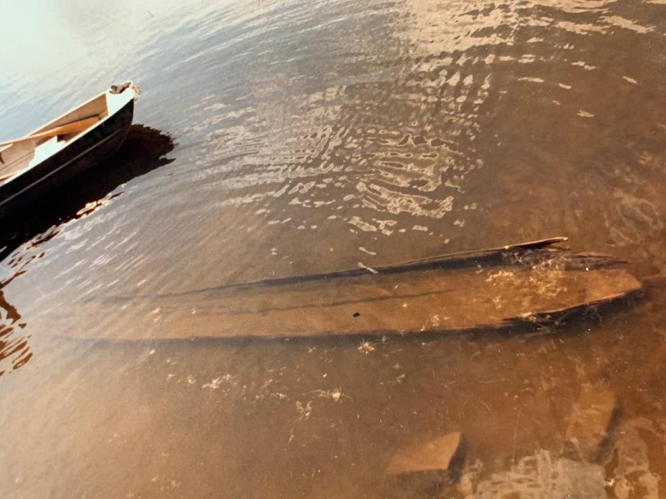 Shifting coastlines have unearthed a number of recent discoveries, including a 600-year-old dugout canoe in Salmon Trout Lake, a small inland lake that's about a 20-minute drive north of Bancroft. Explorers say a lack of ice will likely lead to discoveries this spring on the Great Lakes. 