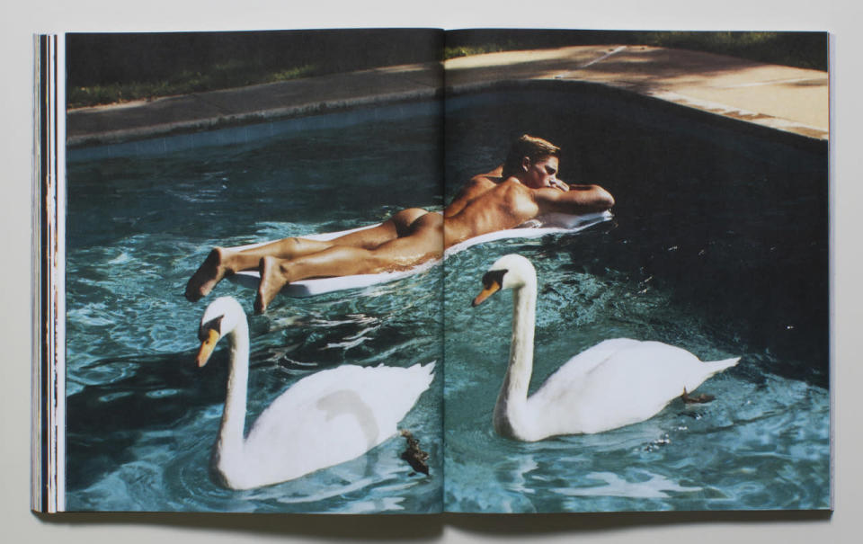 A male model and swans sun themselves in an “A&F Quarterly” from 2001.