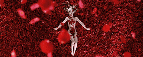 This Iconic Scene From ‘American Beauty’ Inspired The Project